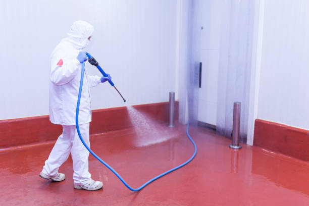 Best Pre-Holiday Cleaning  in Live Oak, TX